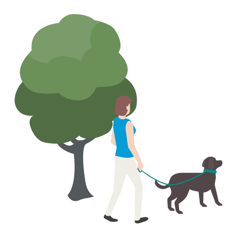 Woman walking her brown dog outside near a large tree